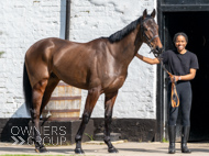 NH220326-6 - Thewoodcorner